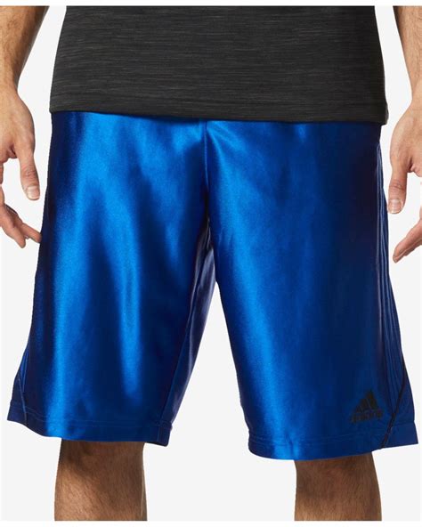 Climalite Blue Shorts 